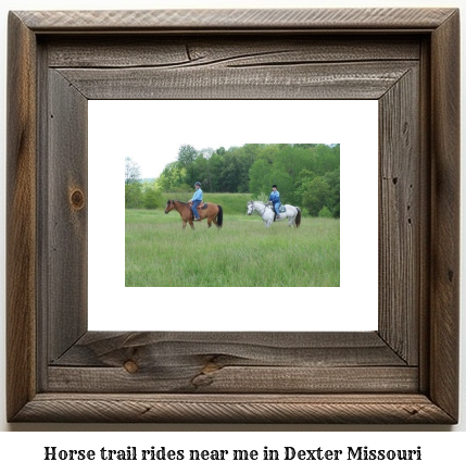 horse trail rides near me in Dexter, Missouri